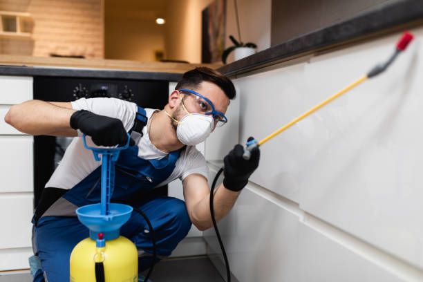 Best Pest Control Near Me  in On Top Of The World Designated Place, FL