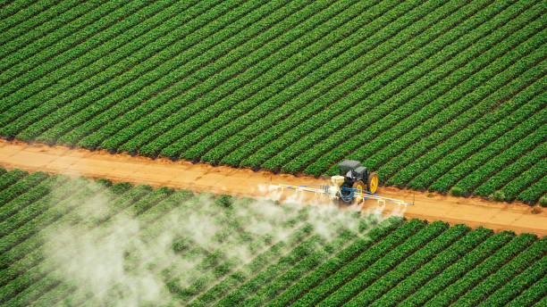 Best Commercial Pest Control Services  in On Top Of The World Designated Place, FL
