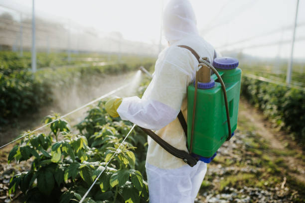 Best Best Pest Control Companies  in On Top Of The World Designated Place, FL